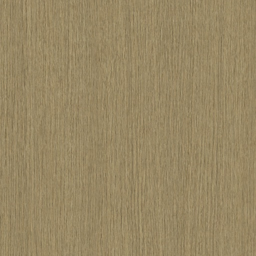 Chicorée
